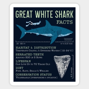 Great White Shark Facts Sticker